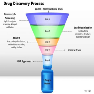 Drug Discovery Process