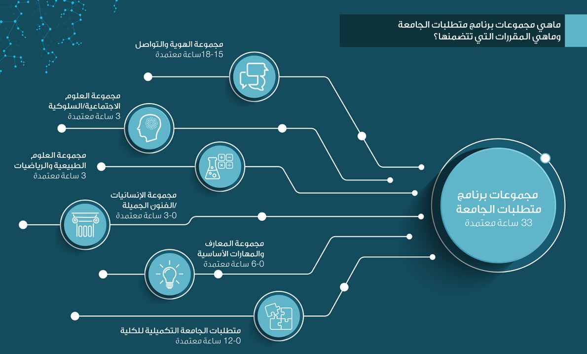 نبذة عن البرنامج | جامعة قطر - Image1