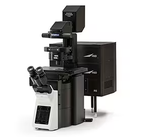 Confocal Scanning Microscope