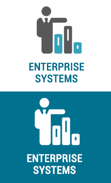 Enterprise Business Systems